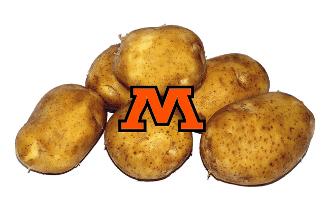 Moorhead Spuds